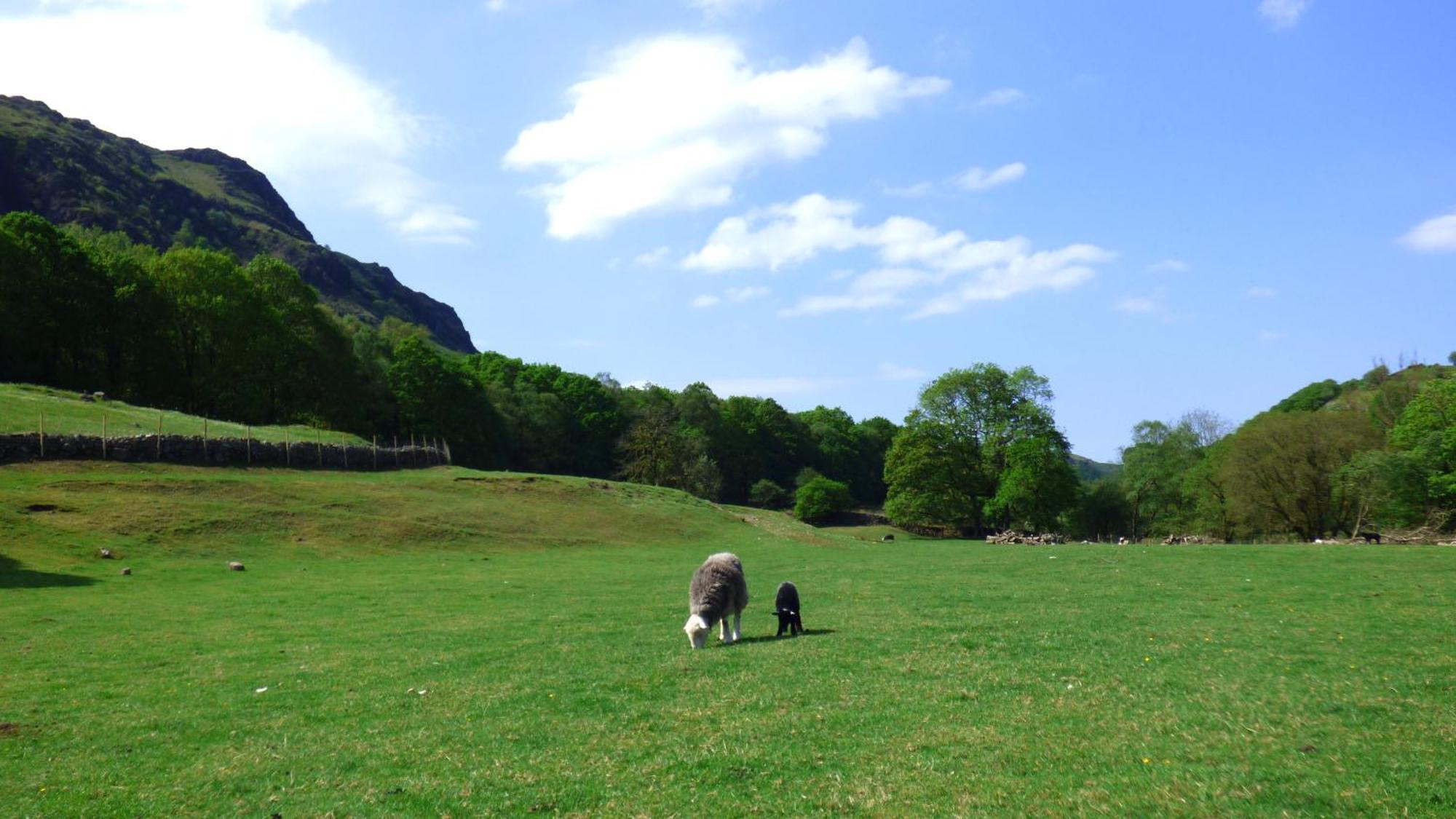 Renovated 5 Bedroom Farmhouse In Picturesque Eskdale, Lake District Exterior photo