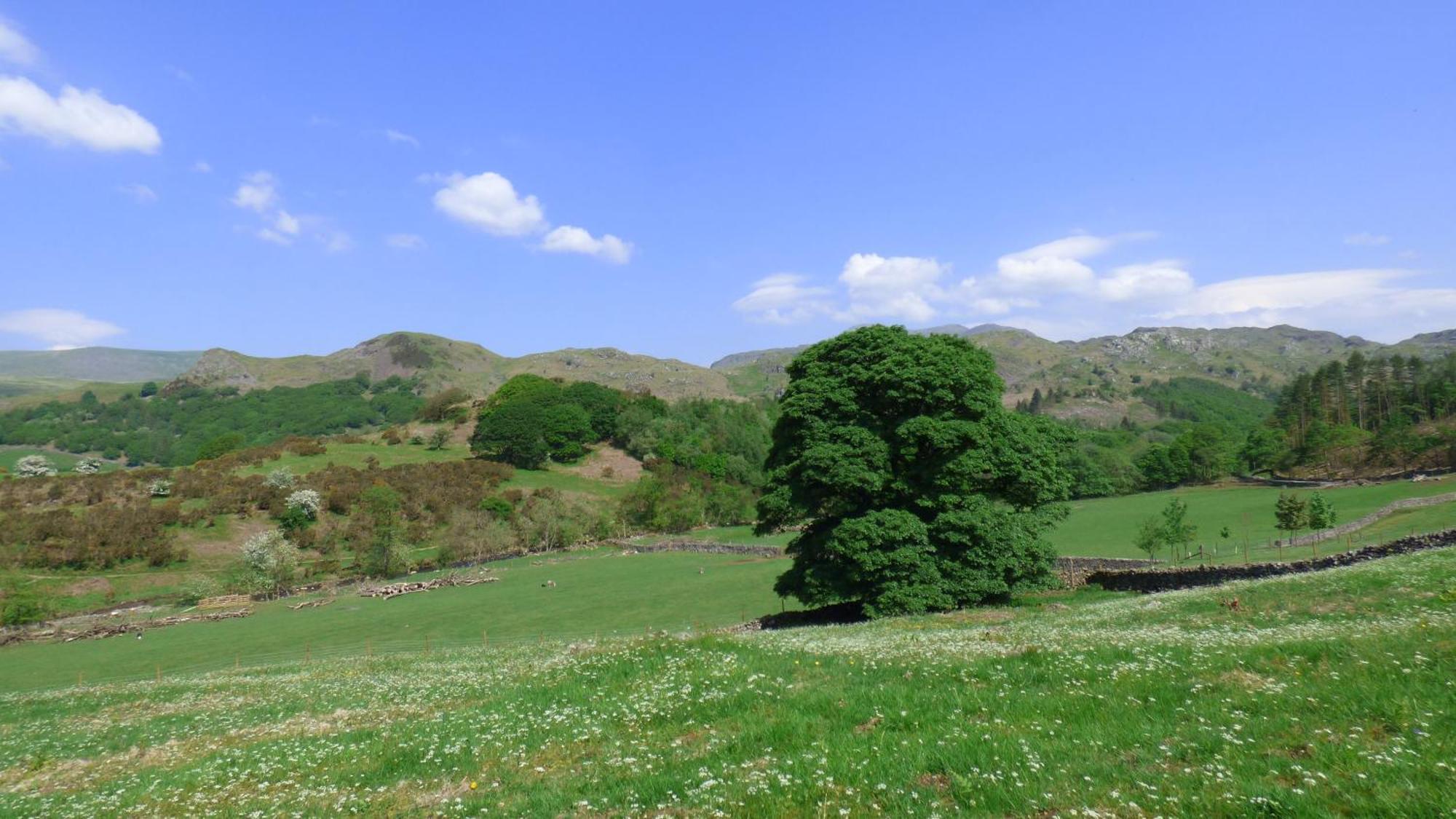 Renovated 5 Bedroom Farmhouse In Picturesque Eskdale, Lake District Exterior photo
